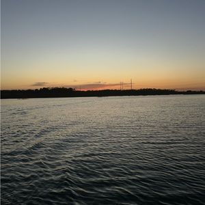 Meet your Posher, Molly